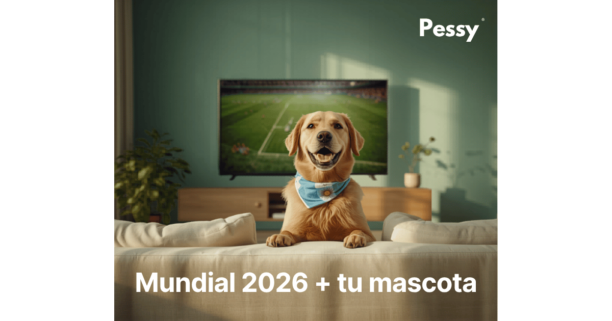 Supersticiones del Mundial 2026: rituales argentinos y dónde queda tu mascota